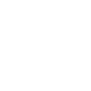 Your Company